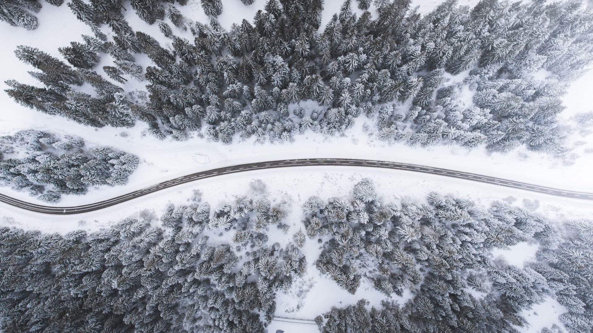 Bird eye’s view!, by Kimon Maritz